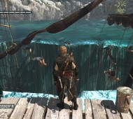 Assassin's Creed IV bug